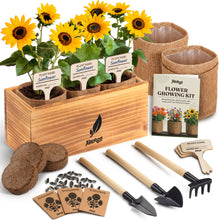 Load image into Gallery viewer, AVERGO Sunflower Seeds Growing Kit | Complete Seed and Plant Indoor & Outdoor Kit with Sunflower Seeds for Planting – Ideal for Planting Sun Flowers at Home