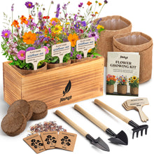 Load image into Gallery viewer, AVERGO Wildflower Seed Mix Growing Kit - Perennial Wild Flowers | Ideal Gift - Also Includes Planters, Soil, Wooden Box, and Gardening Tools for Indoor Garden and Patio Planting