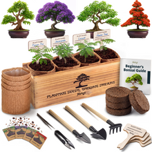 Load image into Gallery viewer, Avergo Bonsai Tree Kit – 4X Unique Japanese Bonzai Trees | Complete Indoor Starter Kit for Growing Bonsai Plants with Tools & Planters – Gardening Gifts for Women & Men