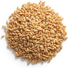 Load image into Gallery viewer, Cat Grass Kit for Indoor Cats – x4 Seed Packets | Cat Grass Seeds with Wooden Planter, Soil & Mini Gardening Tools for Nipping – Pet Wheatgrass Grass