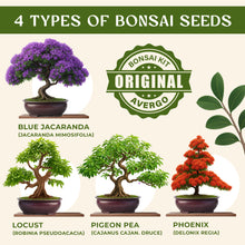 Load image into Gallery viewer, Avergo Bonsai Tree Kit – 4X Unique Japanese Bonzai Trees | Complete Indoor Starter Kit for Growing Bonsai Plants with Tools & Planters – Gardening Gifts for Women & Men