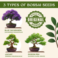 Load image into Gallery viewer, Avergo Bonsai Tree Kit – 3X Unique Japanese Bonzai Trees | Complete Indoor Starter Kit for Growing Bonsai Plants with Tools & Planters – Gardening Gifts for Women & Men
