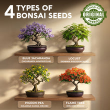 Load image into Gallery viewer, Bonsai Tree Kit Classic - Growing 4 Unique Japanese Bonzai Trees | Complete Indoor Bonsai Starter Kits for Growing Trees – Plant Lovers Gifts for Women & Men