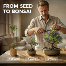 Load image into Gallery viewer, AVERGO Bonsai Tree Kit Deluxe - 5X Unique Japanese Bonzai Trees | Complete Indoor Bonsai Starter Kits from Seeds to Trees – DIY Gardening Gifts for Mother's Day, Women & Men