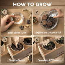 Load image into Gallery viewer, AVERGO Bonsai Tree Kit Classic - 3X Unique Japanese Bonzai Trees | Complete Indoor Bonsai Starter Kits from Seeds to Trees – DIY Gardening Gifts for Mother, Women & Men