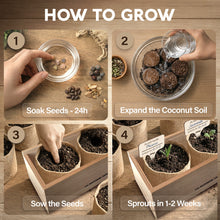 Load image into Gallery viewer, Bonsai Tree Kit Deluxe + Growing Light - 5X Unique Japanese Bonzai Trees | Complete Indoor Bonsai Starter Kits for Growing Trees – DIY Gardening Gifts for Mother, Women & Men