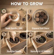 Load image into Gallery viewer, DIY Bonsai Tree Kit for Beginners – 5X Unique Japanese Bonzai Trees, Complete Indoor Bonsai Starter Kit for Growing Bonsai Plants w/Tools & Planters – DIY Christmas Gardening Gifts for Mom