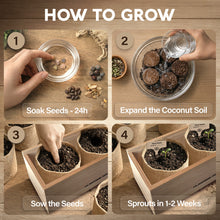 Load image into Gallery viewer, Bonsai Tree Kit Deluxe + Growing Light - 5X Unique Japanese Bonzai Trees | Complete Indoor Bonsai Starter Kits for Growing Trees – DIY Gardening Gifts for Mother, Women & Men