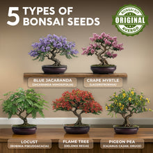 Load image into Gallery viewer, Bonsai Tree Kit Deluxe + Growing Light - 5X Unique Japanese Bonzai Trees | Complete Indoor Bonsai Starter Kits for Growing Trees – DIY Gardening Gifts for Mother, Women & Men