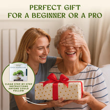 Load image into Gallery viewer, Avergo Bonsai Tree Kit – 3X Unique Japanese Bonzai Trees | Complete Indoor Starter Kit for Growing Bonsai Plants with Tools & Planters – Gardening Gifts for Women & Men