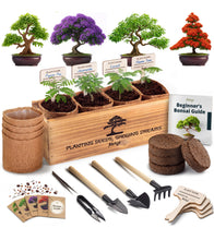 Load image into Gallery viewer, Avergo Bonsai Tree Kit – 4X Unique Japanese Bonzai Trees | Complete Indoor Starter Kit for Growing Bonsai Plants with Tools & Planters – Gardening Gifts for Women & Men
