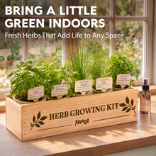 Load image into Gallery viewer, Indoor Herb Garden Kit, Herb Growing Kit for Kitchen and Windowsill | Herb Starter Kit to Grow Herbs Indoors with Basil, Chives, Dill, Cilantro & Parsley Seeds, Gifts for Mom & Plant Lovers
