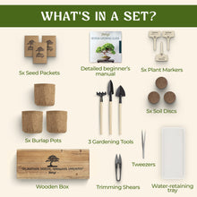 Load image into Gallery viewer, Avergo Bonsai Tree Kit – 3X Unique Japanese Bonzai Trees | Complete Indoor Starter Kit for Growing Bonsai Plants with Tools & Planters – Gardening Gifts for Women & Men