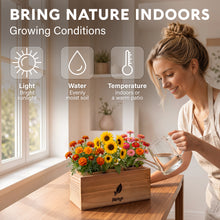 Load image into Gallery viewer, AVERGO Sunflower, Marigold & Zinnia Flower Seeds Growing Kit | Complete Indoor & Outdoor Kit with Seeds for Planting, Planters, Soil, Tools, Instructions