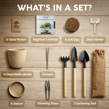 Load image into Gallery viewer, Bonsai Starter Kit – Growing Jacaranda Bonzai Tree | Complete Indoor Tree Kit for Growing Plants with Tools & Planter – Gardening Gifts for Mother, Women & Men