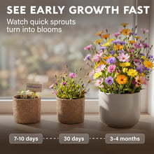Load image into Gallery viewer, AVERGO Wildflower Seed Mix Growing Kit - Perennial Wild Flowers | Ideal Gift - Also Includes Planters, Soil, Wooden Box, and Gardening Tools for Indoor Garden and Patio Planting