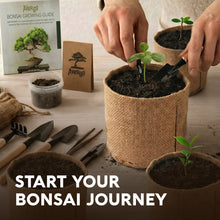 Load image into Gallery viewer, AVERGO Bonsai Tree Kit Classic - 3X Unique Japanese Bonzai Trees | Complete Indoor Bonsai Starter Kits from Seeds to Trees – DIY Gardening Gifts for Mother, Women & Men