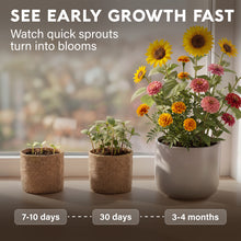 Load image into Gallery viewer, AVERGO Sunflower, Marigold & Zinnia Flower Seeds Growing Kit | Complete Indoor & Outdoor Kit with Seeds for Planting, Planters, Soil, Tools, Instructions