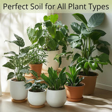 Load image into Gallery viewer, Coconut Coir Potting Soil for Indoor Plants - Expands to 7 Quart (15 lb) | Bonsai Soil Discs Perfect for General Houseplants, Herbs, and Bonsai Trees - Expands with Water