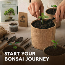 Load image into Gallery viewer, DIY Bonsai Tree Kit for Beginners – 5X Unique Japanese Bonzai Trees, Complete Indoor Bonsai Starter Kit for Growing Bonsai Plants w/Tools & Planters – DIY Christmas Gardening Gifts for Mom