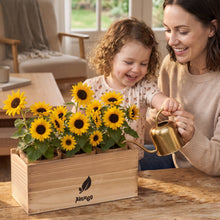 Load image into Gallery viewer, AVERGO Sunflower Seeds Growing Kit – Ideal Gift for Mother's Day | Complete Seed and Plant Indoor & Outdoor Kit with Sunflower Seeds for Planting – Ideal for Planting Sun Flowers at Home