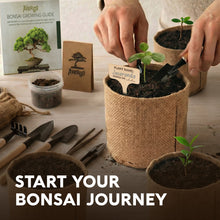 Load image into Gallery viewer, Bonsai Tree Kit for Beginners – 5X Unique Japanese Bonzai Trees | Complete Indoor Bonsai Starter Kit for Growing Bonsai Plants with Tools & Planters – DIY Gardening Gifts for Women & Men
