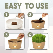 Load image into Gallery viewer, Cat Grass Kit for Indoor Cats – x3 Seed Packets | Cat Grass Seeds with Recyclable Planter & Coconut Coir Expanding Soil Discs – Wheatgrass Grass