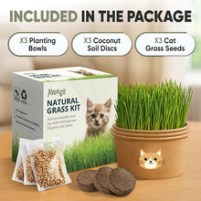 Load image into Gallery viewer, Cat Grass Kit for Indoor Cats – x3 Seed Packets | Cat Grass Seeds with Recyclable Planter & Coconut Coir Expanding Soil Discs – Wheatgrass Grass