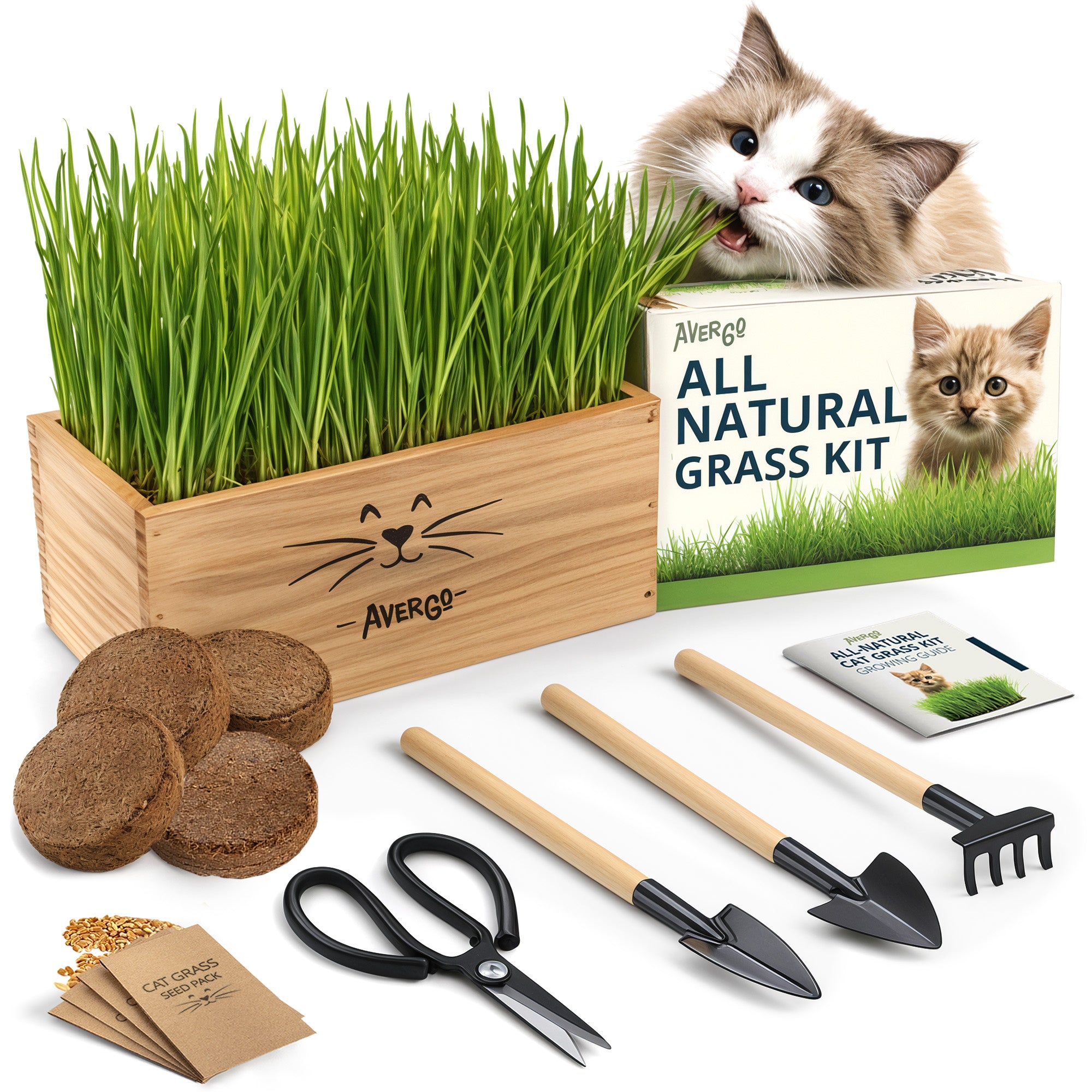 Cat Grass Kit for Indoor Cats – x4 Seed Packets