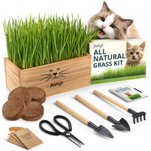 Load image into Gallery viewer, Cat Grass Kit for Indoor Cats – x4 Seed Packets | Cat Grass Seeds with Wooden Planter, Soil & Mini Gardening Tools for Nipping – Pet Wheatgrass Grass