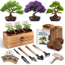 Load image into Gallery viewer, AVERGO Bonsai Tree Kit Classic - 3X Unique Japanese Bonzai Trees | Complete Indoor Bonsai Starter Kits from Seeds to Trees – DIY Gardening Gifts for Mother, Women & Men