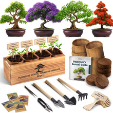 Load image into Gallery viewer, Avergo Bonsai Tree Kit – 4X Unique Japanese Bonzai Trees | Complete Indoor Starter Kit for Growing Bonsai Plants with Tools & Planters – Gardening Gifts for Women & Men