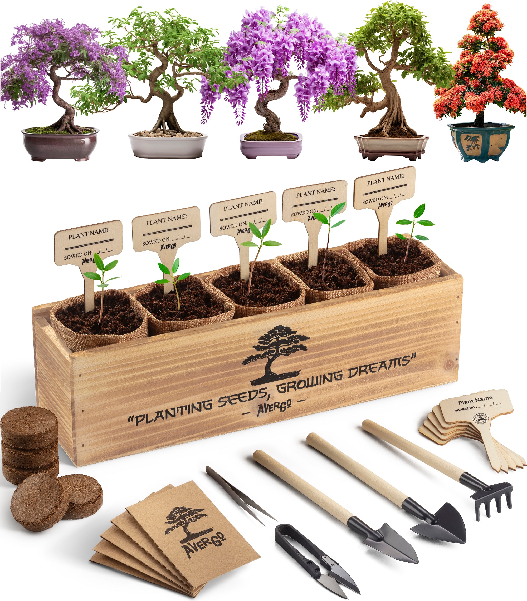 twasnight beforシリーズ3点セット　¥37500相当 5X Bonsai Tree Kit - Set 1 – Avergostore