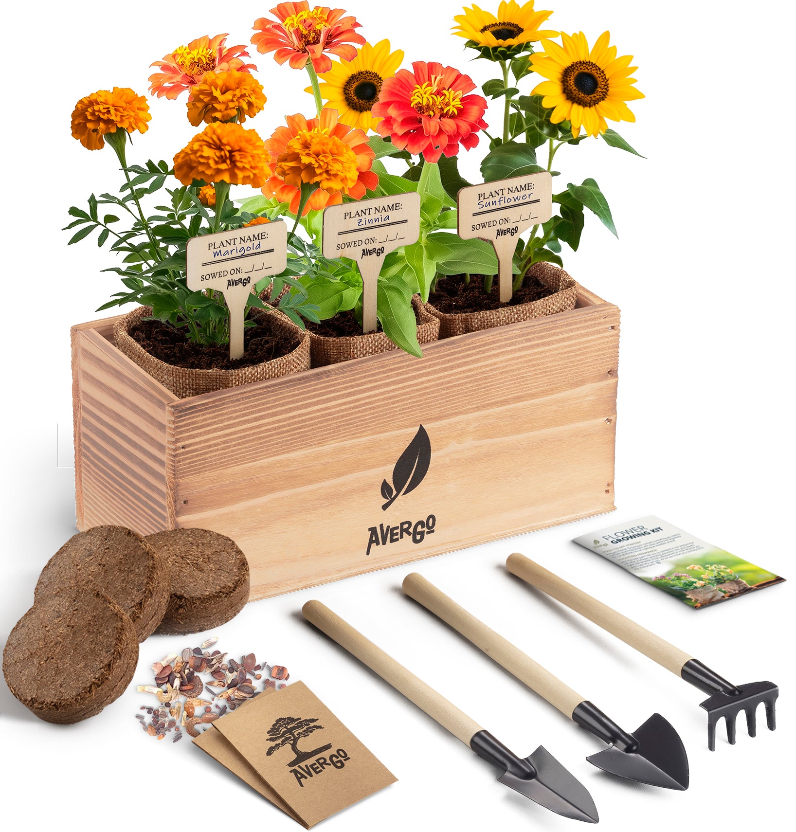 Flower Growing Kit - 1x Marigold + 1x Zinnia + 1x Sunflower