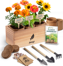 Load image into Gallery viewer, AVERGO Sunflower, Marigold & Zinnia Flower Seeds Growing Kit | Complete Indoor & Outdoor Kit with Seeds for Planting, Planters, Soil, Tools, Instructions