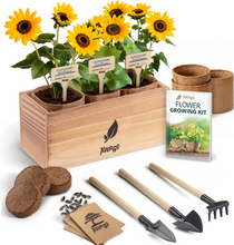 Load image into Gallery viewer, AVERGO Sunflower Seeds Growing Kit – Ideal Gift for Mother's Day | Complete Seed and Plant Indoor & Outdoor Kit with Sunflower Seeds for Planting – Ideal for Planting Sun Flowers at Home