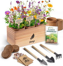 Load image into Gallery viewer, AVERGO Wildflower Seed Mix Growing Kit - Perennial Wild Flowers | Ideal Gift for Mother's Day - Also Includes Planters, Soil, Wooden Box, and Gardening Tools for Indoor Garden and Patio Planting