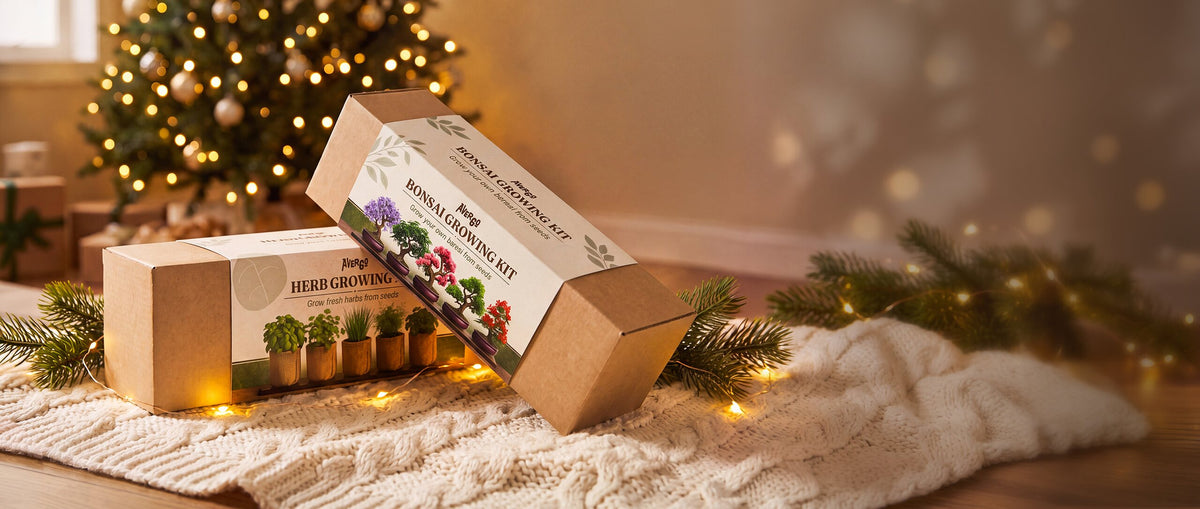 Avergo kits gift-boxed by a Christmas tree