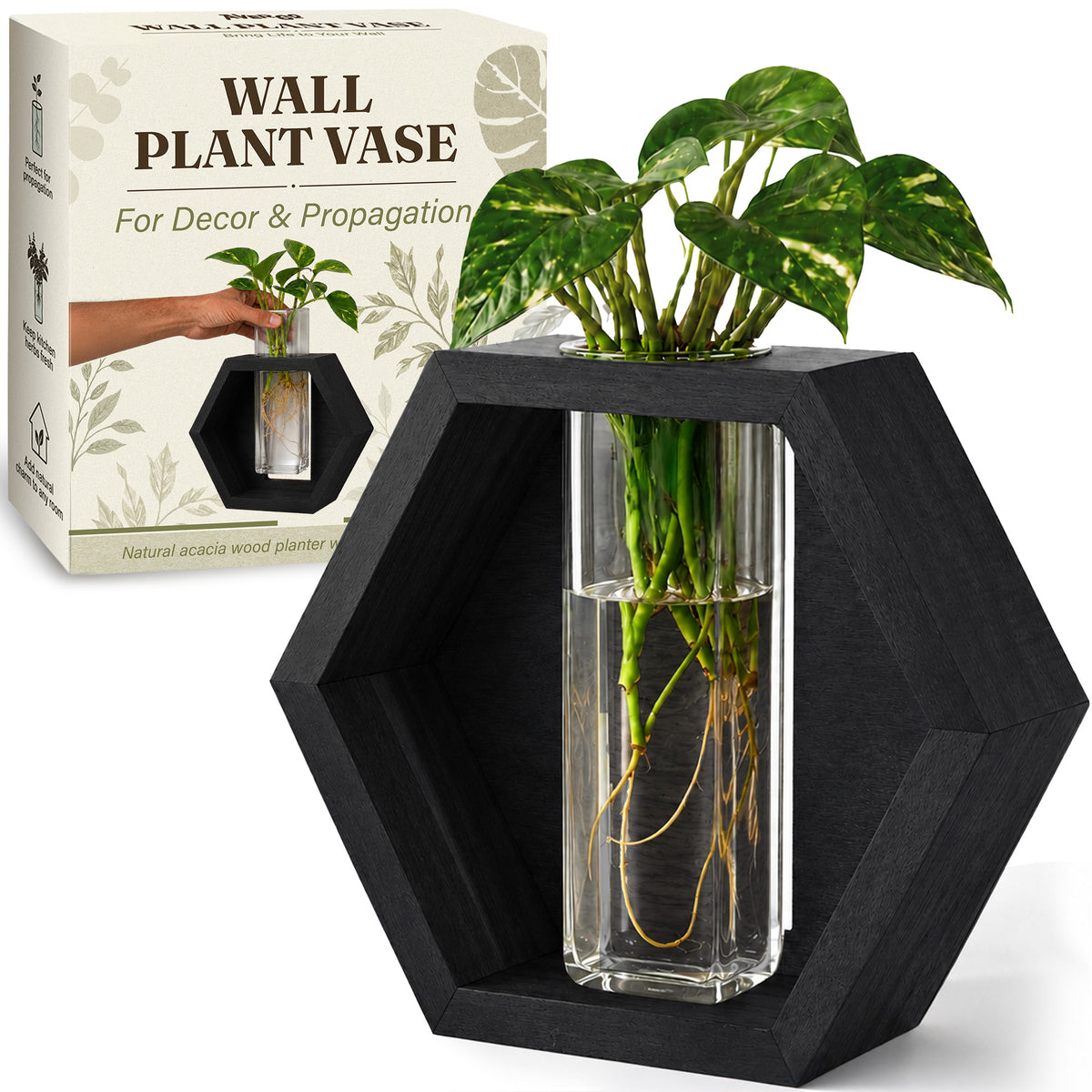 Wall Plant Vase — Black Wood