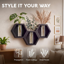 Load image into Gallery viewer, Wall Plant Decor (1-Pack), Black Wood Indoor Wall Planter | Propagation Wall Hanging with Removable Glass Vase for Cuttings, Fresh Herbs, Flowers and Dried Florals