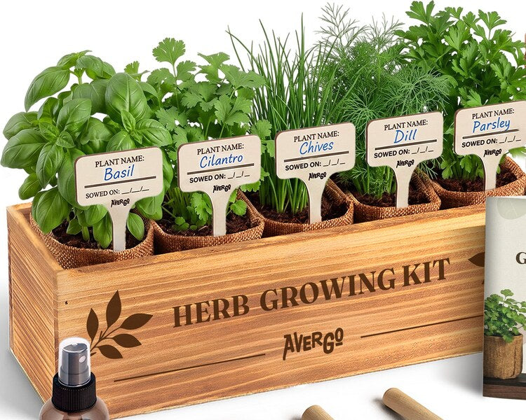 Wood box planter