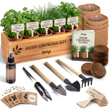 Load image into Gallery viewer, Indoor Herb Garden Kit, Herb Growing Kit for Kitchen and Windowsill | Herb Starter Kit to Grow Herbs Indoors with Basil, Chives, Dill, Cilantro &amp; Parsley Seeds, Gifts for Mom &amp; Plant Lovers
