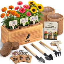 Load image into Gallery viewer, AVERGO Sunflower, Marigold &amp; Zinnia Flower Seeds Growing Kit | Complete Indoor &amp; Outdoor Kit with Seeds for Planting, Planters, Soil, Tools, Instructions
