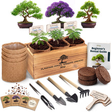 Load image into Gallery viewer, Bonsai Tree Kit Classic - Growing 3 Unique Japanese Bonzai Trees | Complete Indoor Bonsai Starter Kits for Growing Trees – Plant Lovers Gifts for Women &amp; Men
