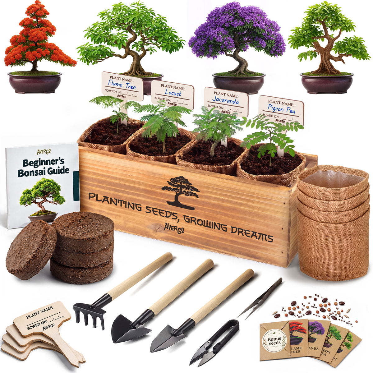 Bonsai Tree Kit Classic - Growing 4 Unique Japanese Bonzai Trees | Complete Indoor Bonsai Starter Kits for Growing Trees – Plant Lovers Gifts for Women & Men