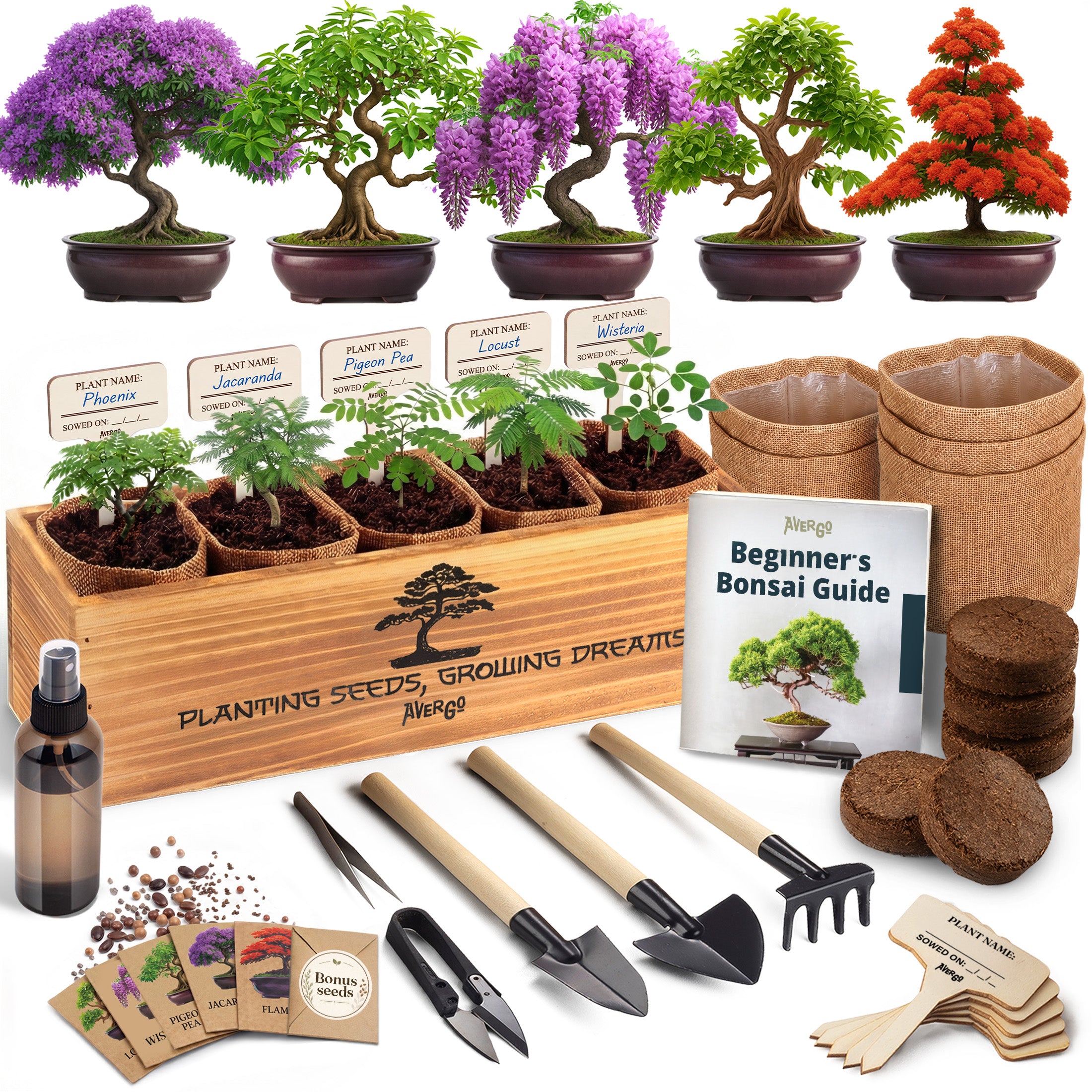 【完売品】KAZETOMORI grow table その他色々 NORU Bonsai Growing Kit