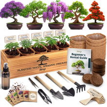 Load image into Gallery viewer, Bonsai Tree Kit Classic - Growing 5 Unique Japanese Bonzai Trees | Complete Indoor Bonsai Starter Kits for Growing Trees – Plant Lovers Gifts for Women &amp; Men
