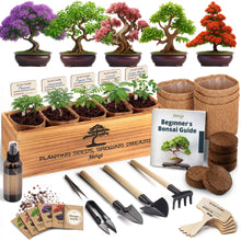 Load image into Gallery viewer, Bonsai Tree Kit Deluxe - Growing 5 Unique Japanese Bonzai Trees | Complete Indoor Bonsai Starter Kits for Growing Trees – Plant Lovers Gifts for Women &amp; Men
