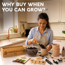 Load image into Gallery viewer, Indoor Herb Garden Kit, Herb Growing Kit for Kitchen and Windowsill | Herb Starter Kit to Grow Herbs Indoors with Basil, Chives, Dill, Cilantro &amp; Parsley Seeds, Gifts for Mom &amp; Plant Lovers
