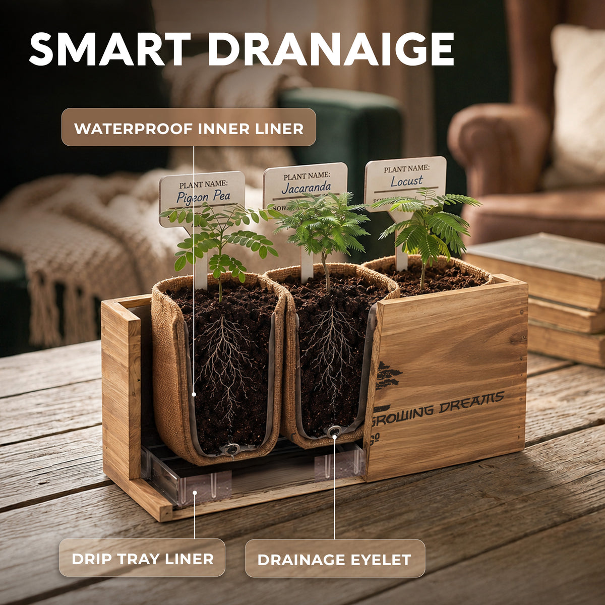 Bonsai Tree Kit Classic - Growing 3 Unique Japanese Bonzai Trees | Complete Indoor Bonsai Starter Kits for Growing Trees – Plant Lovers Gifts for Women & Men